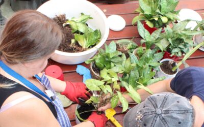 Hortikuloterapia z panią Ewą