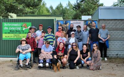 Wizyta w schronisku dla zwierząt
